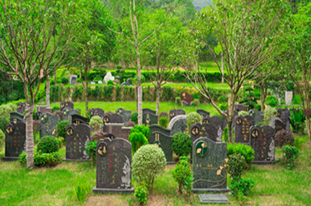 竹溪茶谷全景图