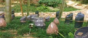 杭州径山竹茶园公墓收费价格怎么样？2026年最新价格指南