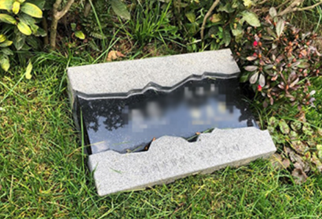 QQ20260403-193155 QQ20260403-193155