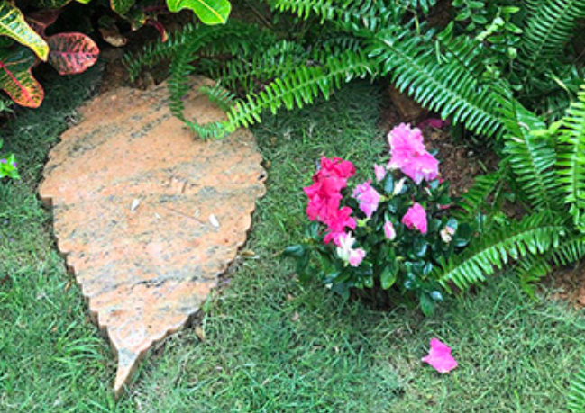 QQ浏览器截图20260405112243